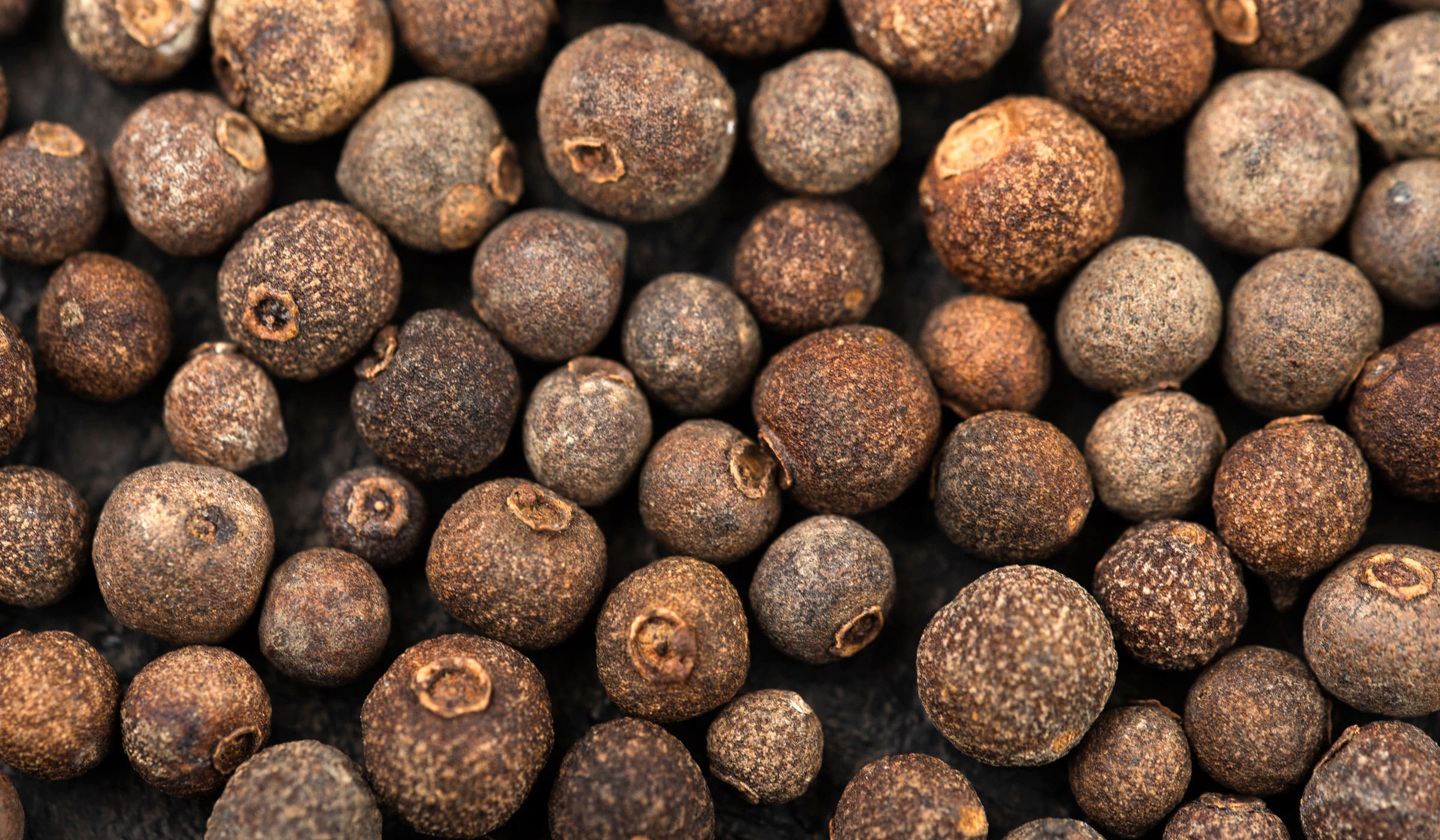 Allspice leaves