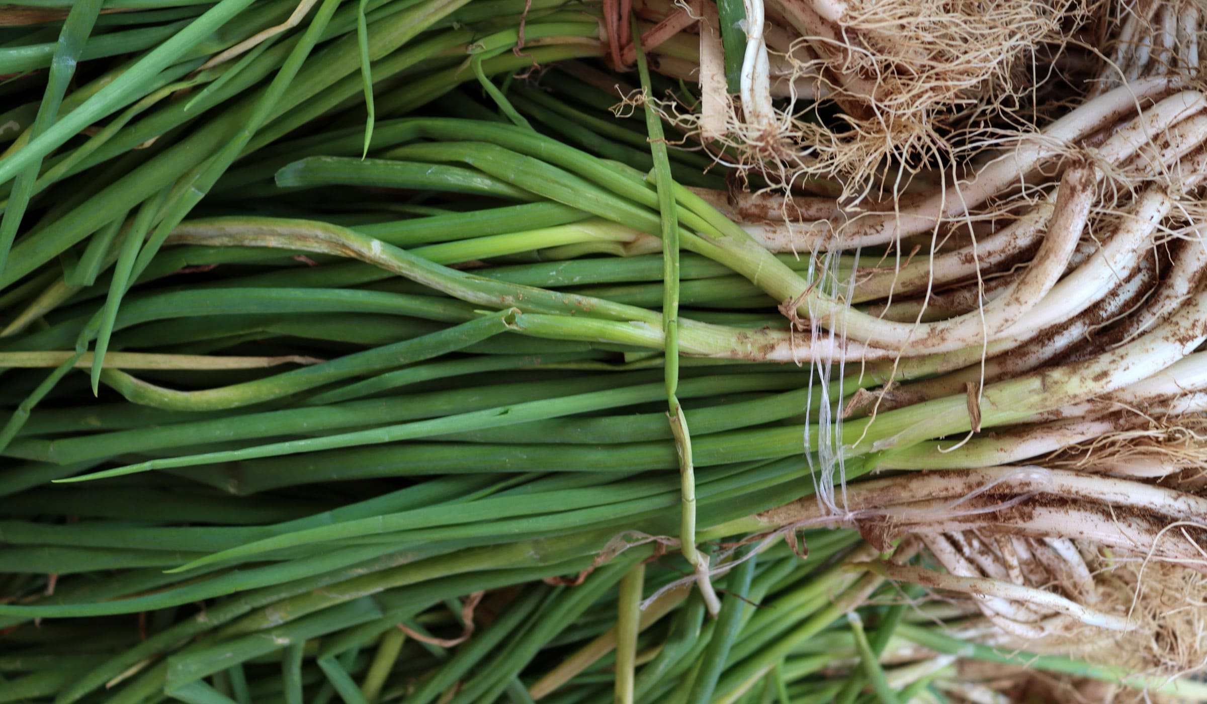 Welsh onion for sale at Fort-de-France market
