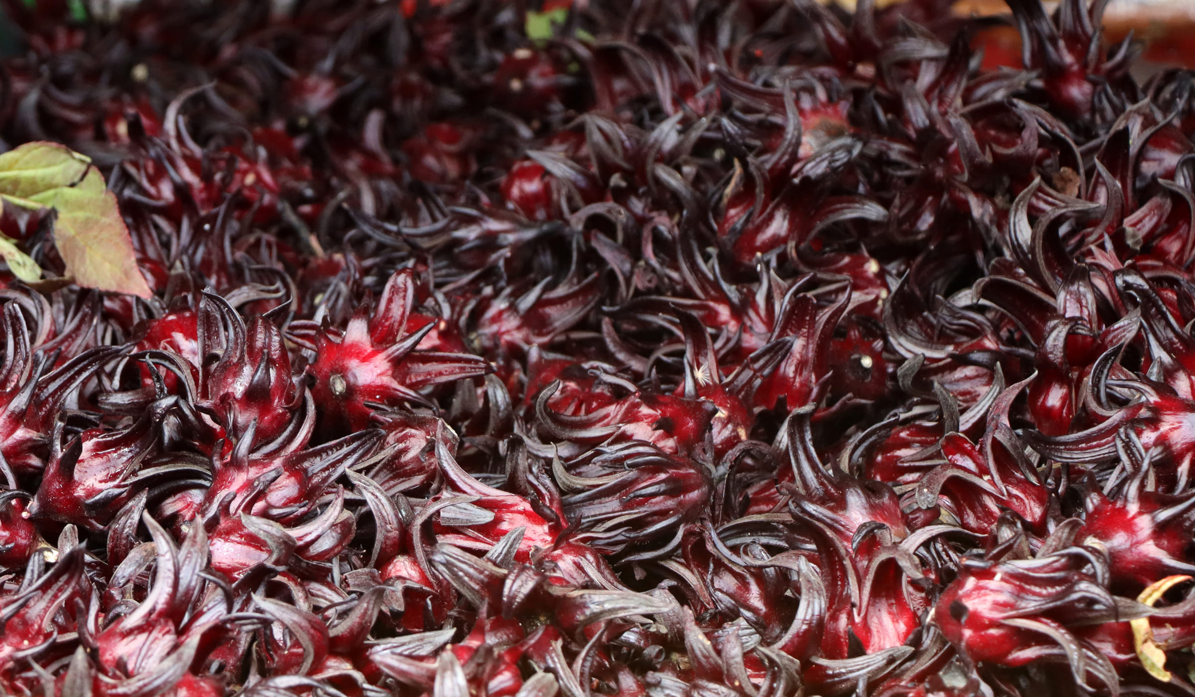Red sorrels for sale at Fort-de-France market