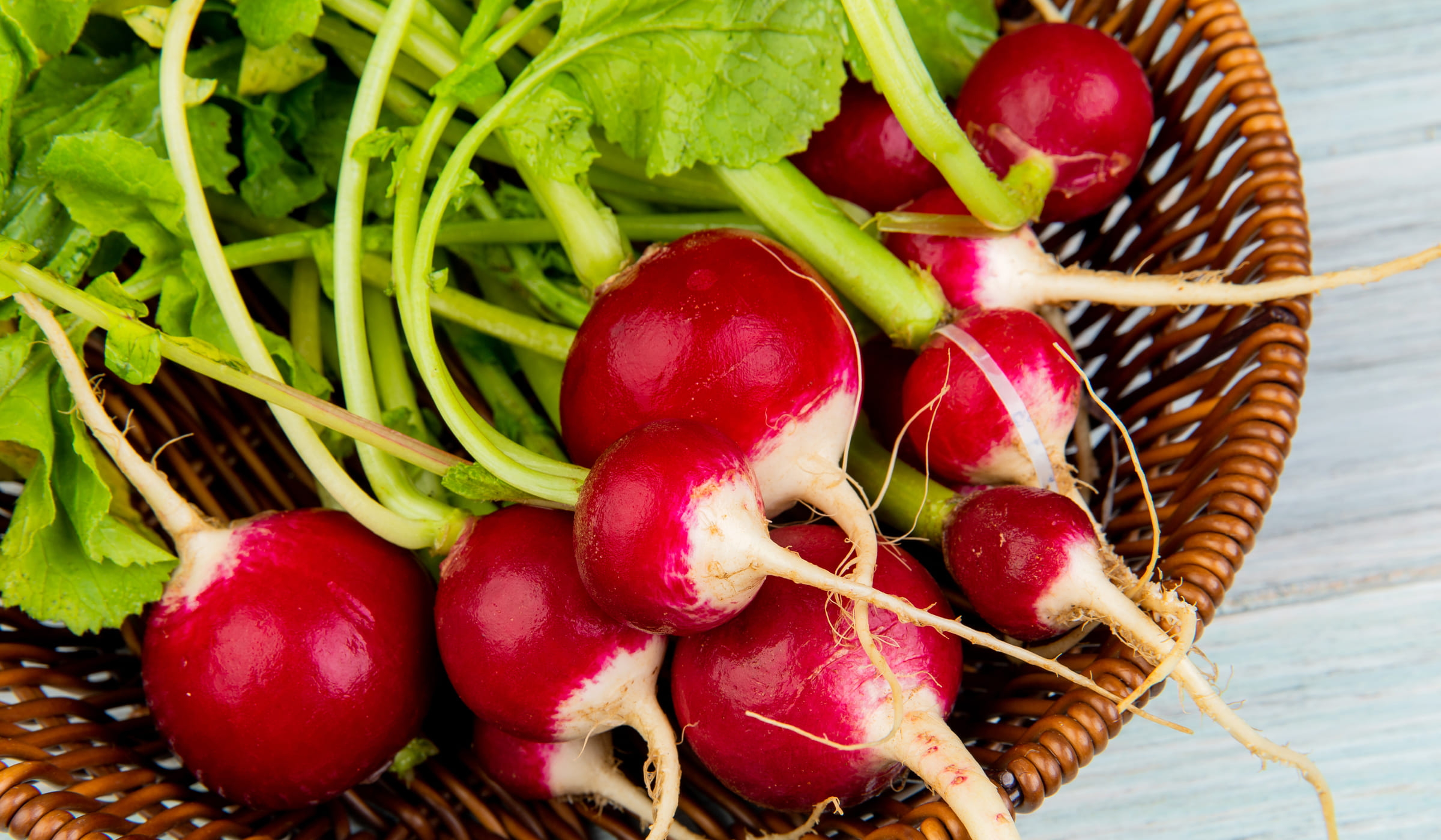 Red radishes