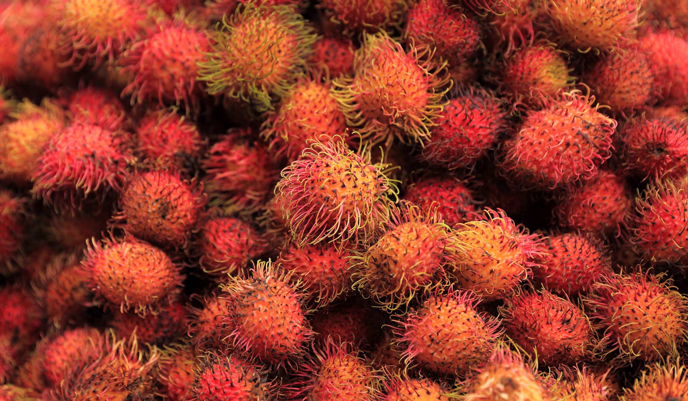 Rambutans