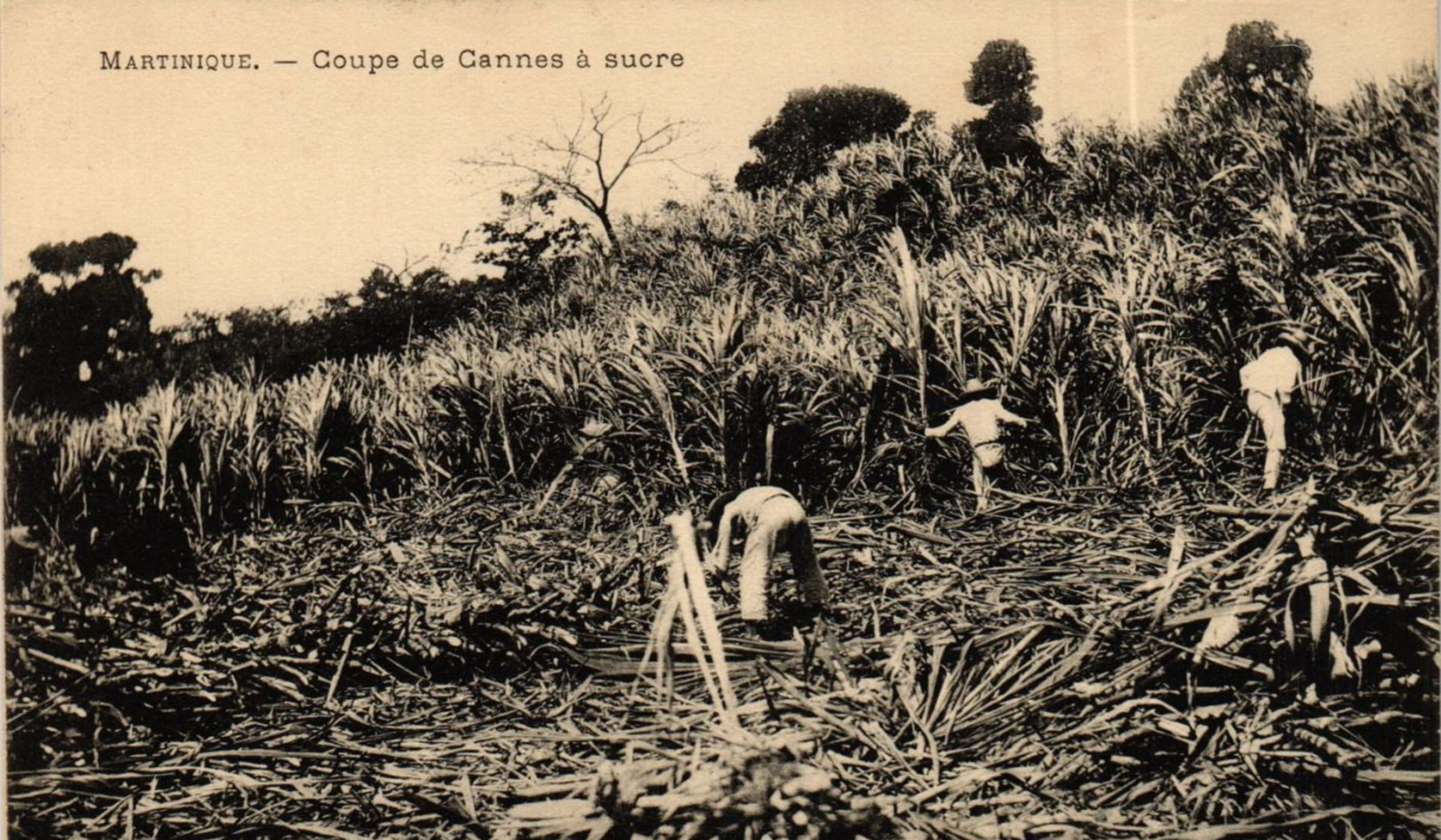 Ouvriers agricoles