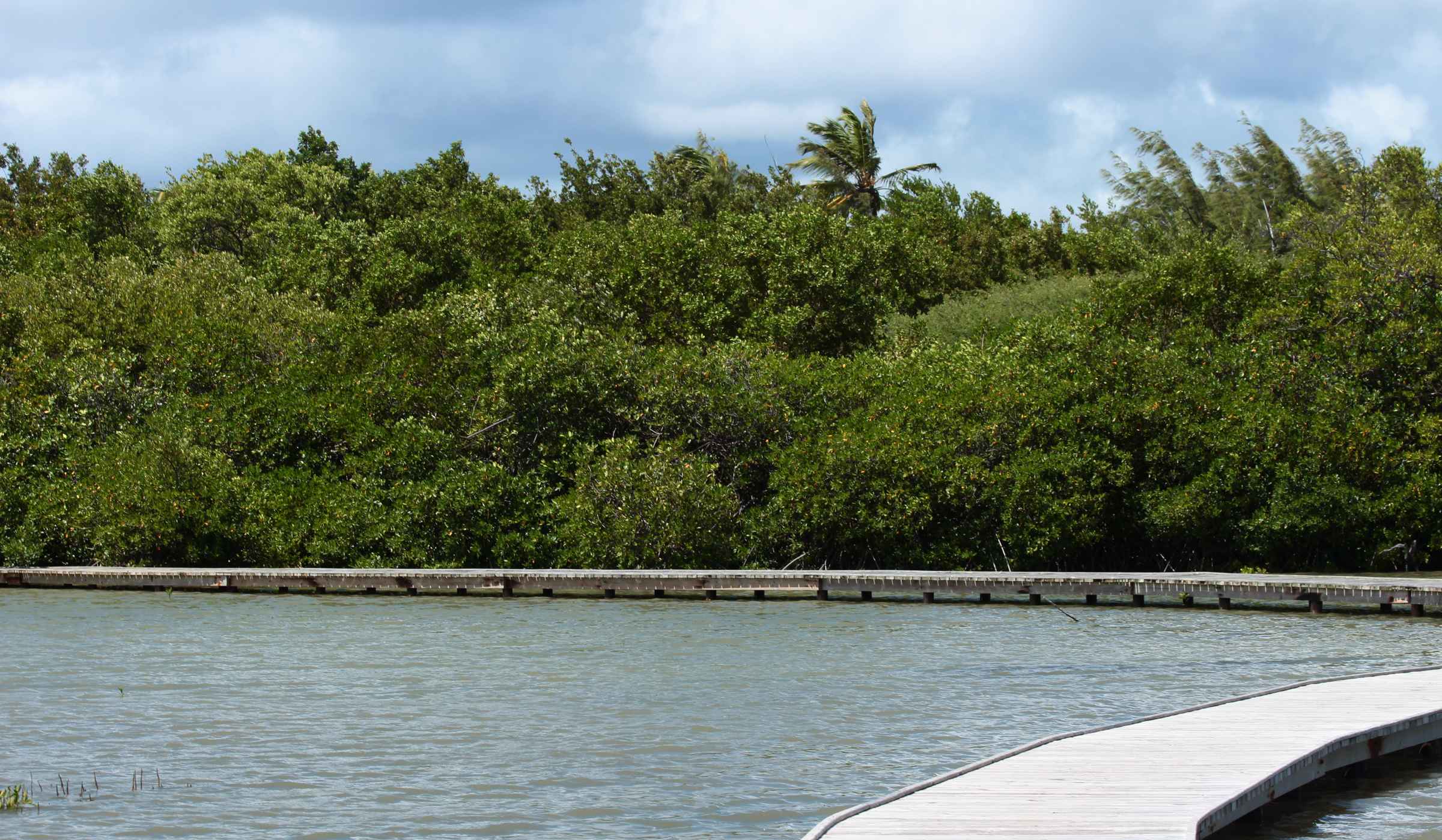 L'étang des Salines