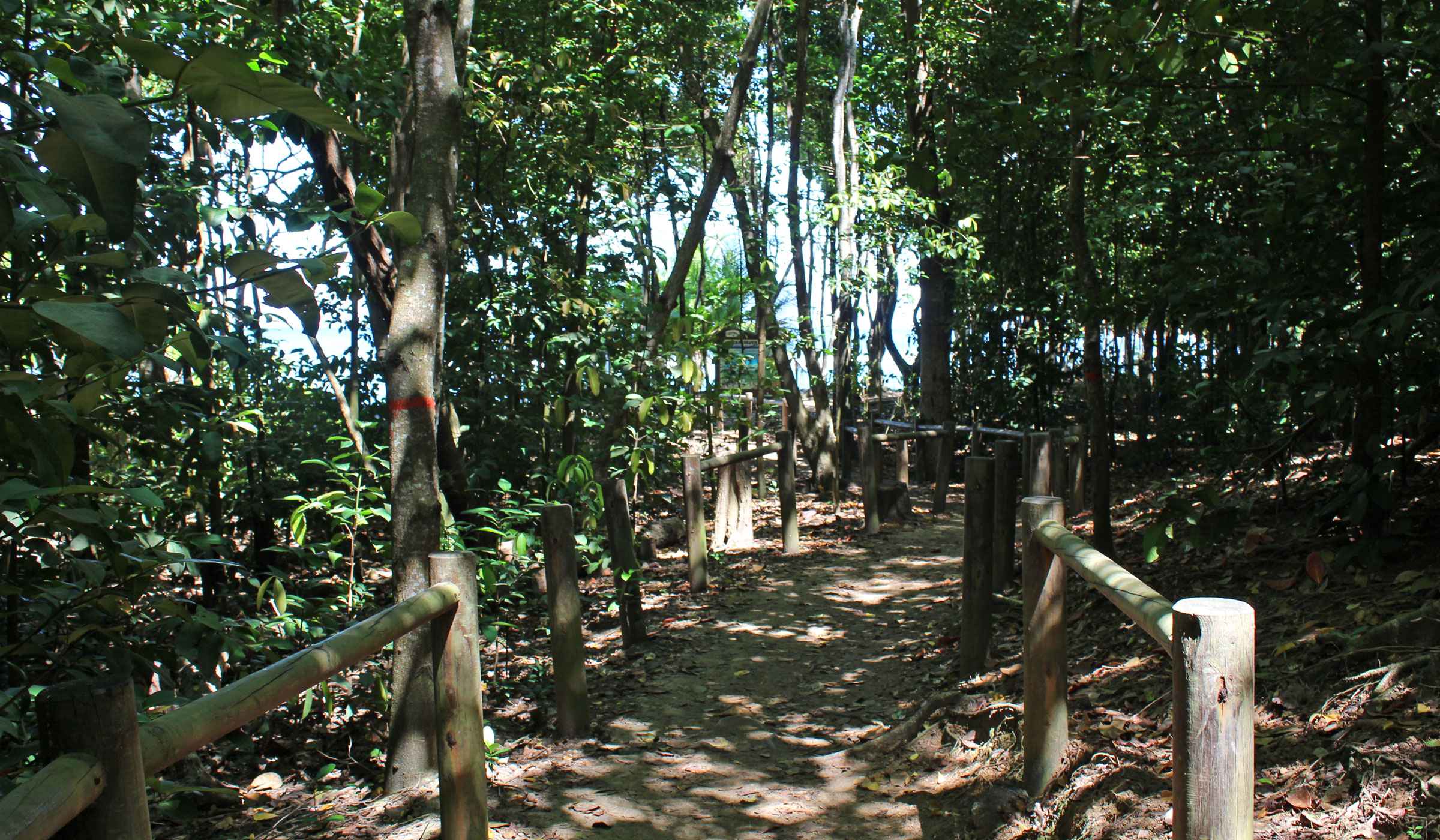 Hiking trail of the Pitons du Carbet
