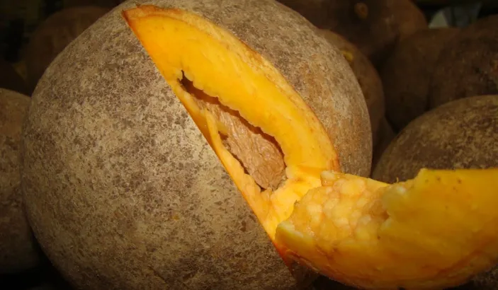 Abricot des Antilles ou Abricot pays