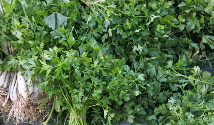 Celery for sale at Fort-de-France market