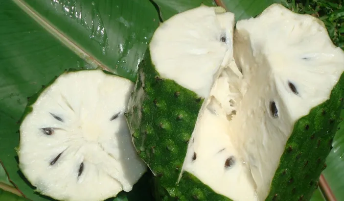 Soursop cut in pieces