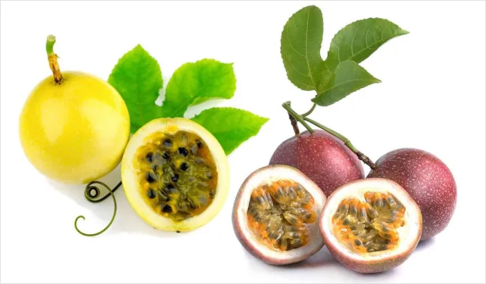 Pomme liane dont la peau est violette et un maracudja