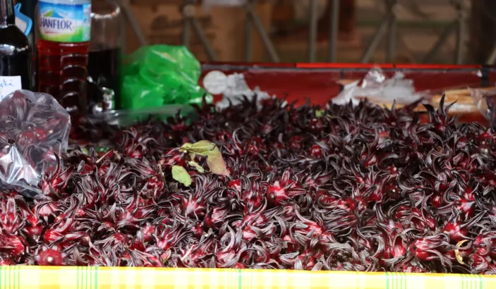 Barks of red sorrel