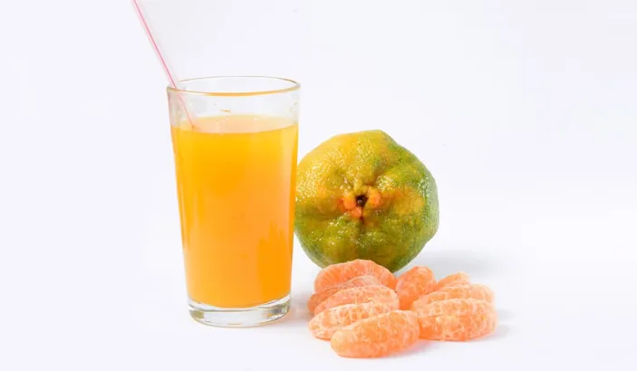Jus de mandarine avec des tranches de fruit et une mandarine entière