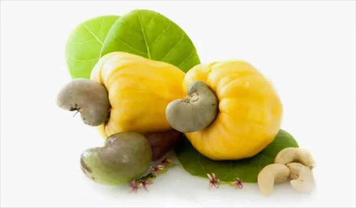 Yellow cashew apples