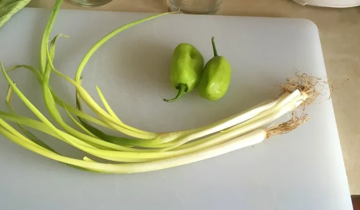 Welsh Onions on a table next to 2 green peppers