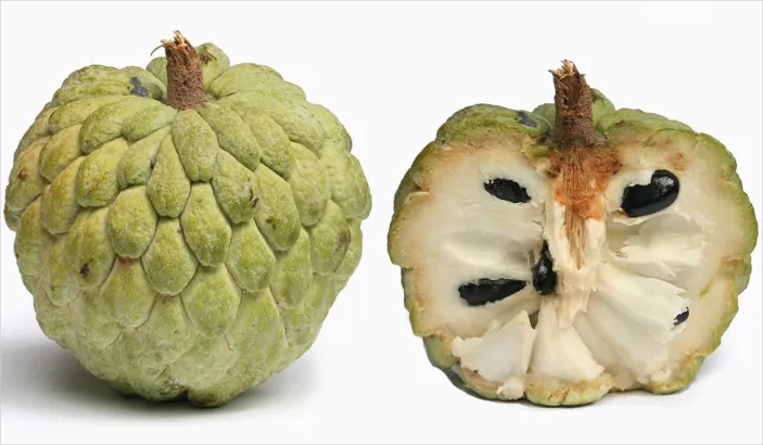 Pomme cannelle, fruit coupé en deux et fruit entier