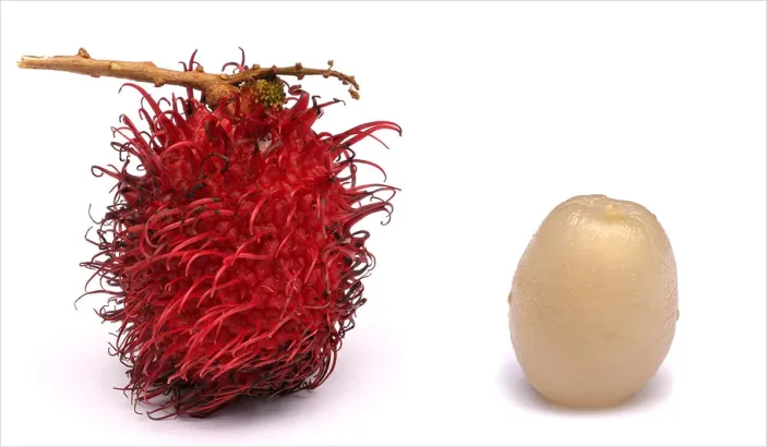 Écorce et chair de ramboutan