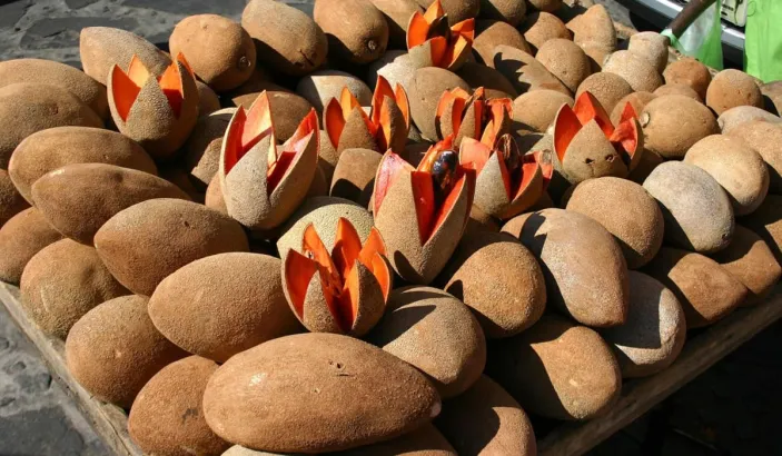 Sapote en vente au marché