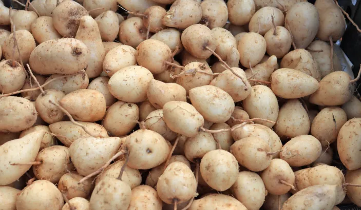 Topinambours en vente au marché de Fort-de-France