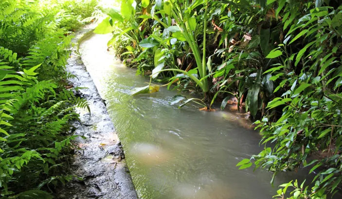 Parcours du Canal des Esclaves