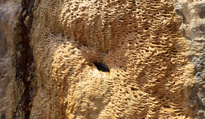 Rochers de Dlo Ferré