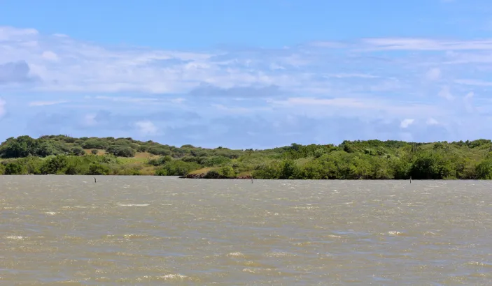 L'étang des Salines