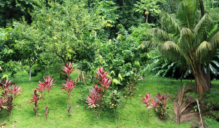 Jardin de lHabitation Céron