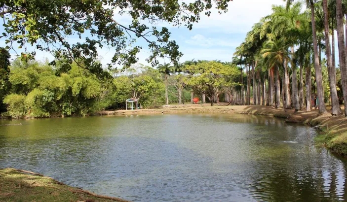 Habitation Clément Pond