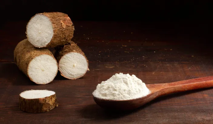 Morceaux de manioc et farine de manioc dans une cuillère