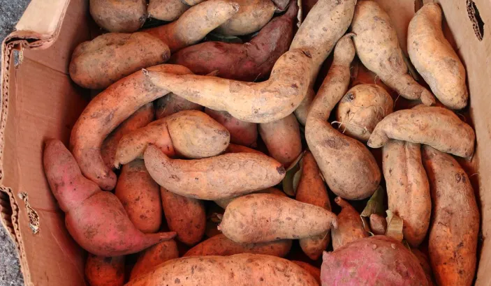 Ignames en vente au marché de Fort de France