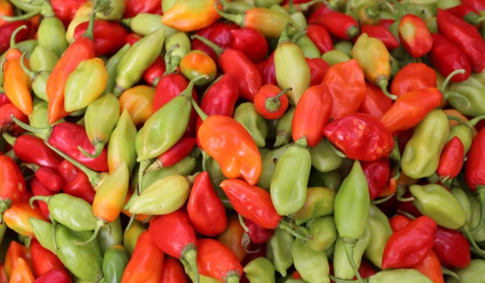 Piments en vente au marché de Fort de France