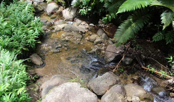 “Saut Gendarme” river