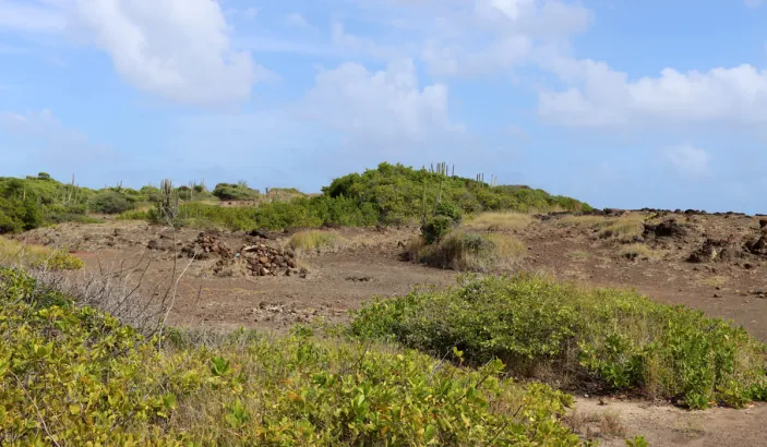 Savane des Pétrifications