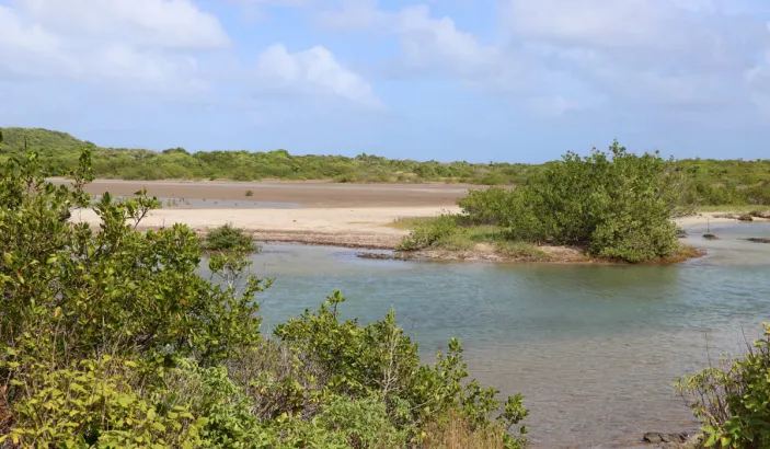 Savane des Pétrifications