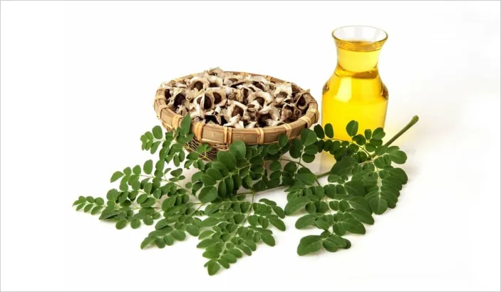 Huilles et feuilles de moringa