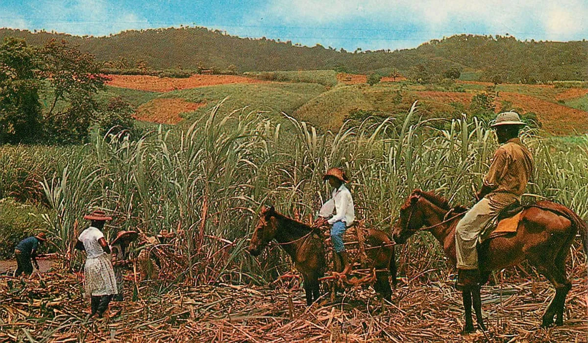 Ouvriers agricoles avec contremaîtres à cheval