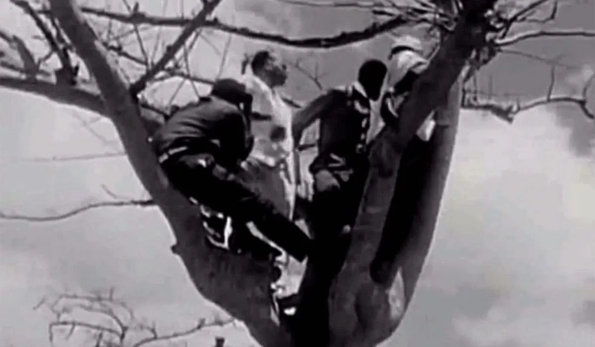People climbing trees to see Charles de Gaulle