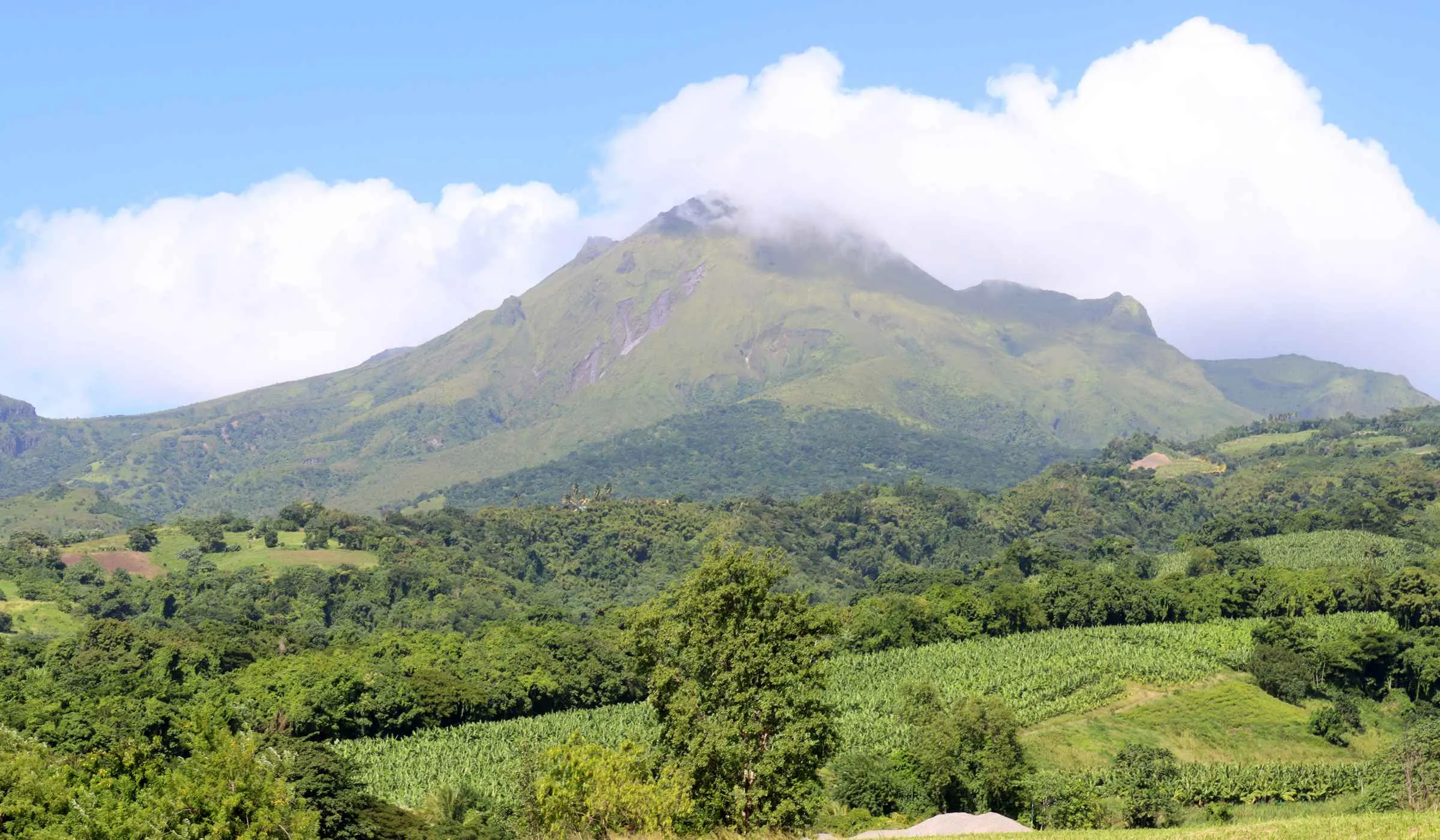Montagne Pelée