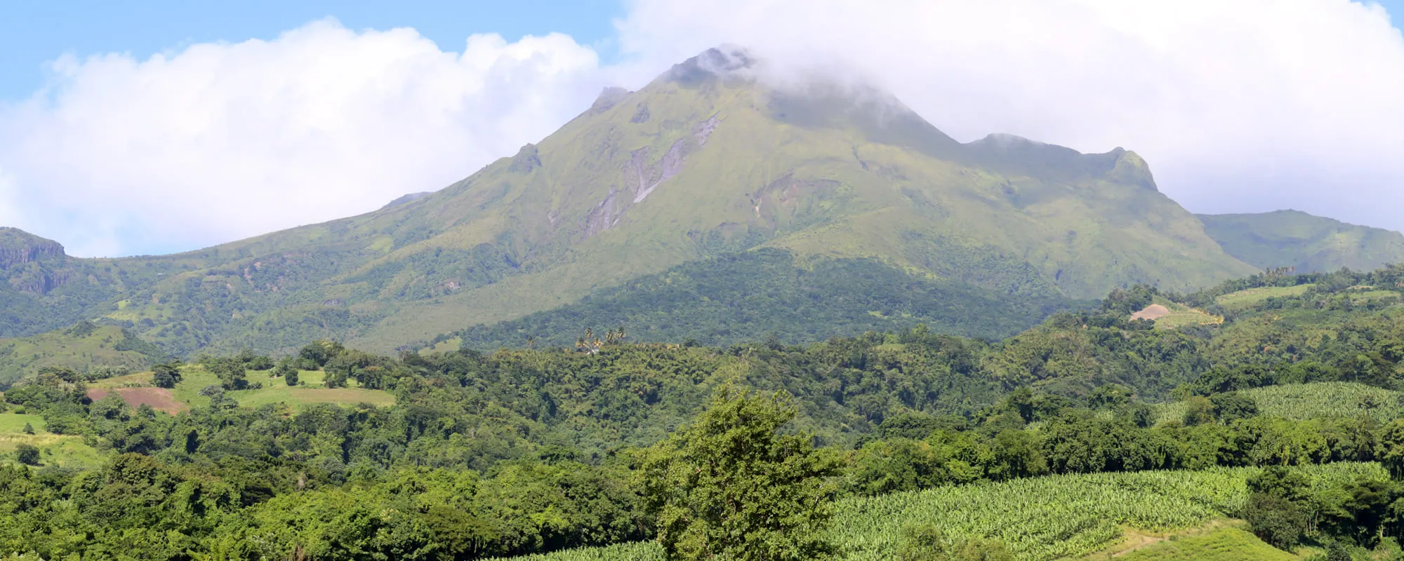 Montagne Pelée