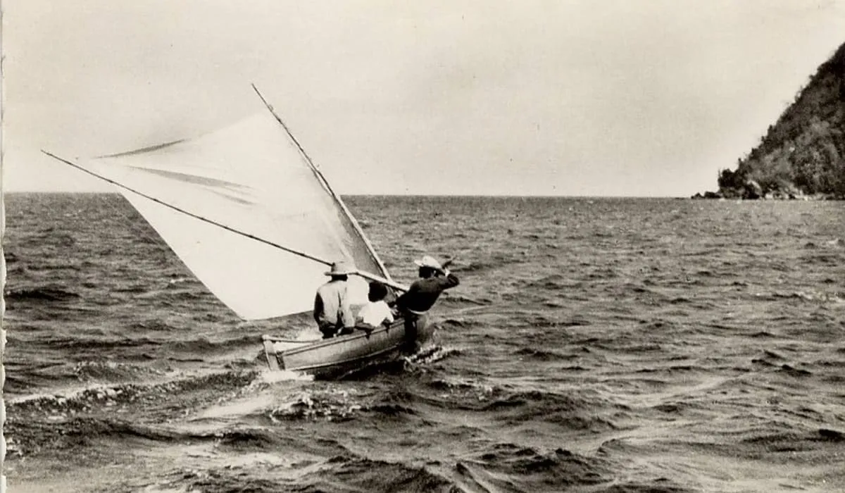 Gommier de pêche