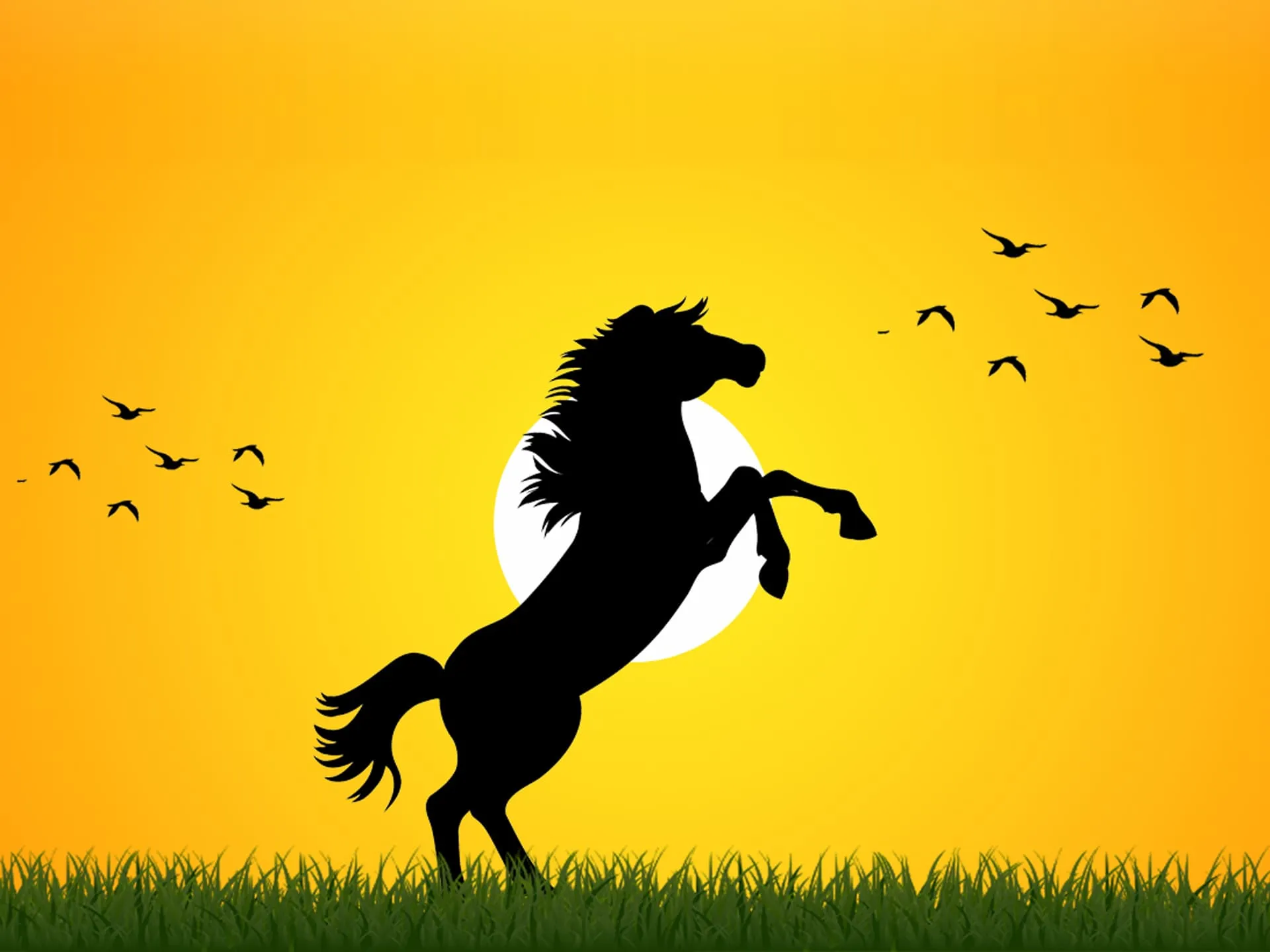 Cheval cabré avec un coucher de soleil en fond